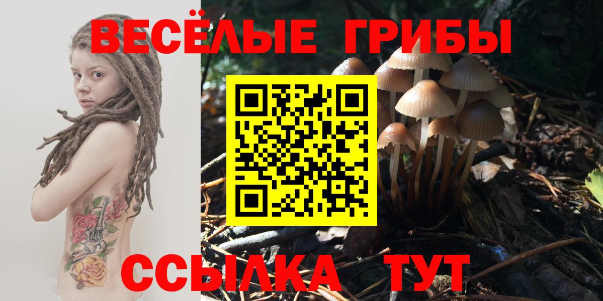 Галлюциногенные грибы Psilocybe  закладка  Вход с VPN  Самара  Галлюциногенные грибы Magic Shrooms 